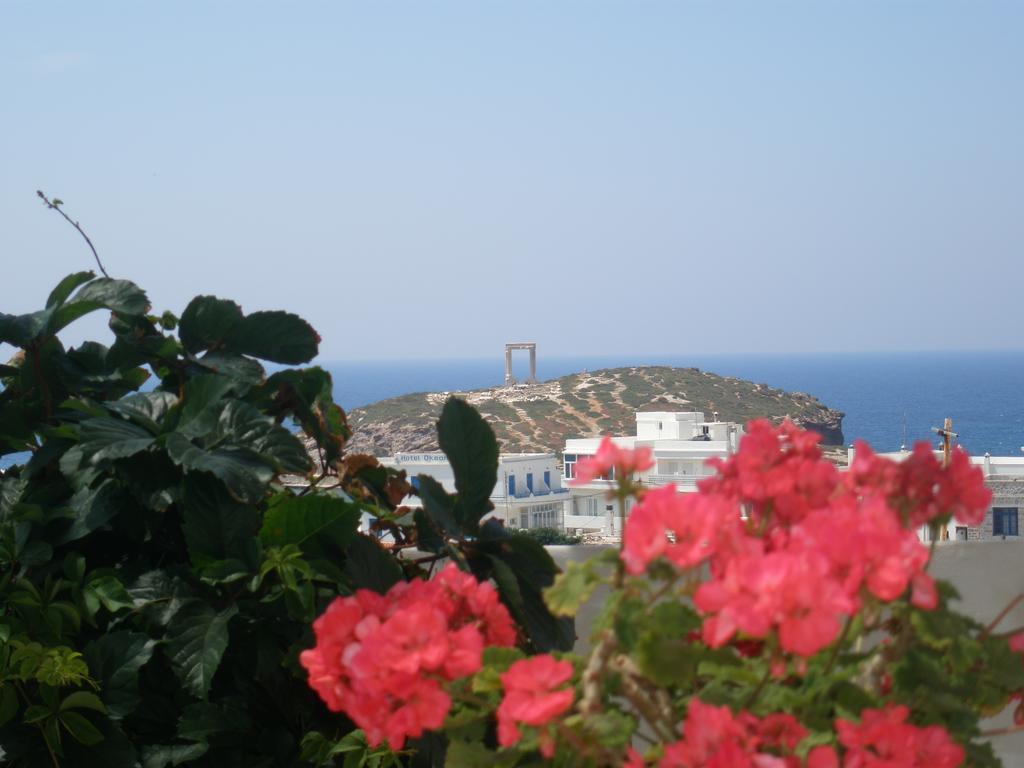 Chateau Zevgoli Naxos City Bagian luar foto